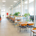 菊陽バイパス店