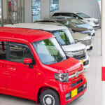 菊陽バイパス店