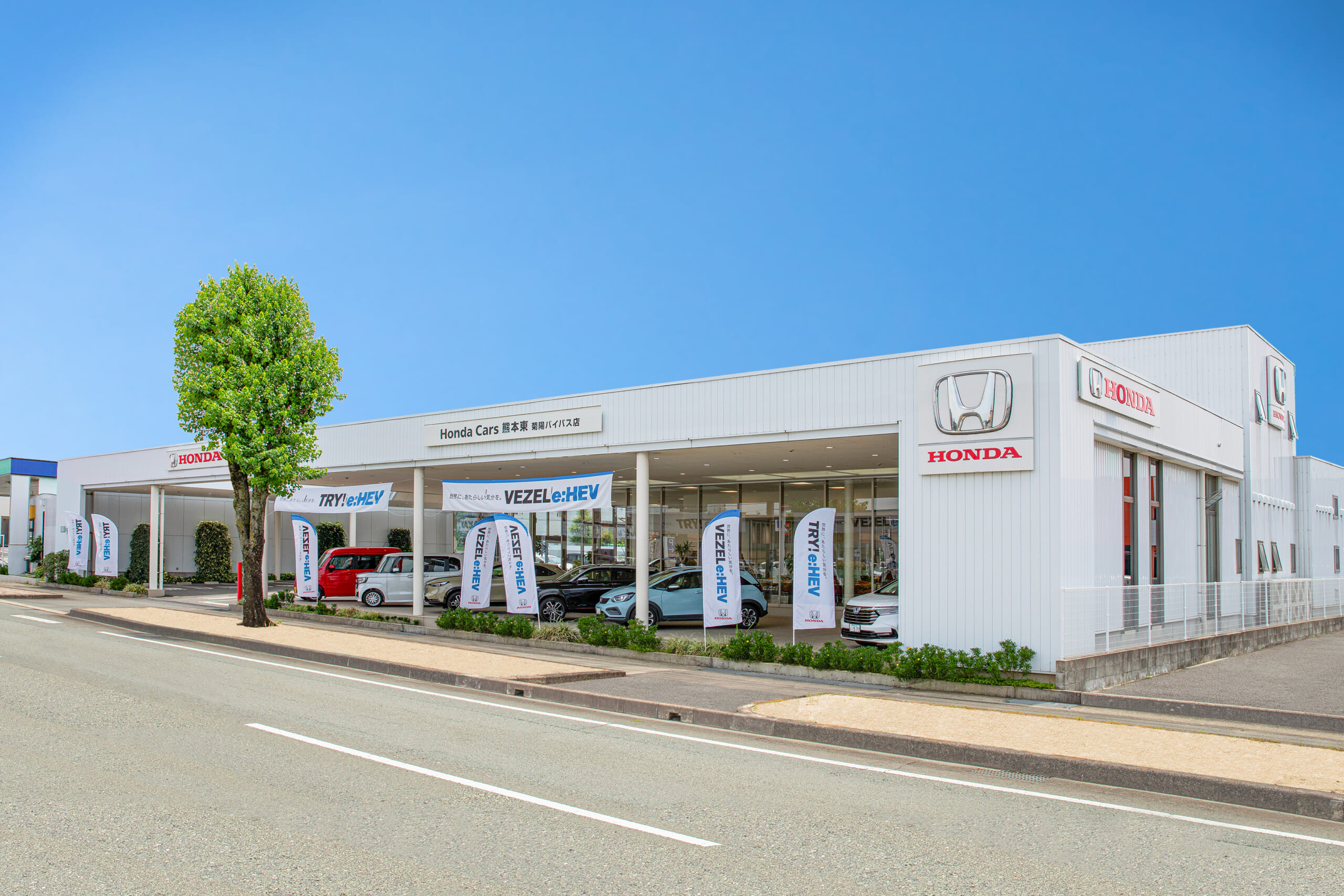 菊陽バイパス店